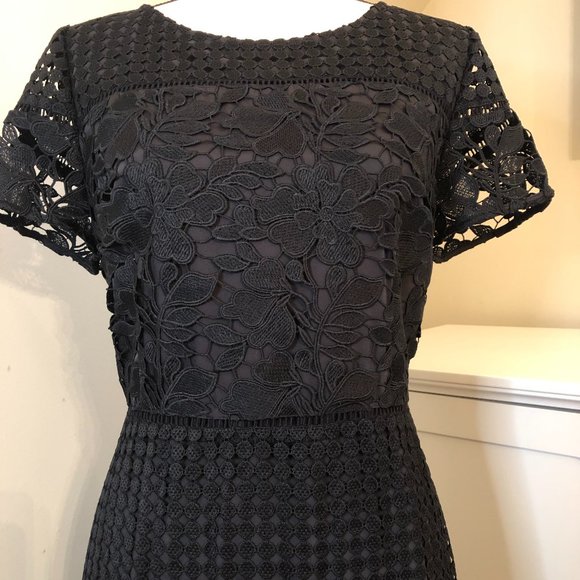 NWT - rsvp by Talbots Short Sleeve Black Mixed Lace Fit & Flare Dress, Sz. 12P - Picture 3 of 8
